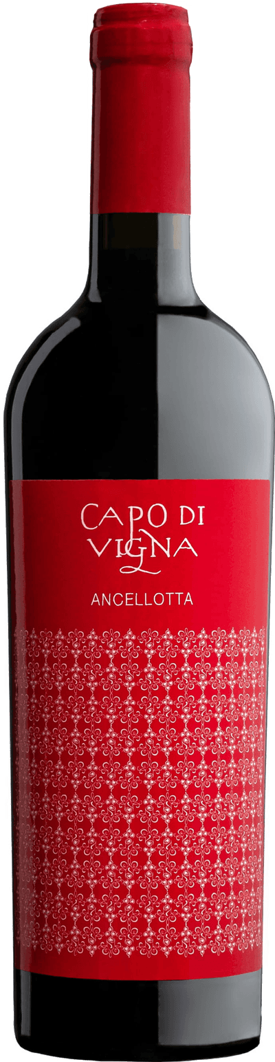 Ancelotta