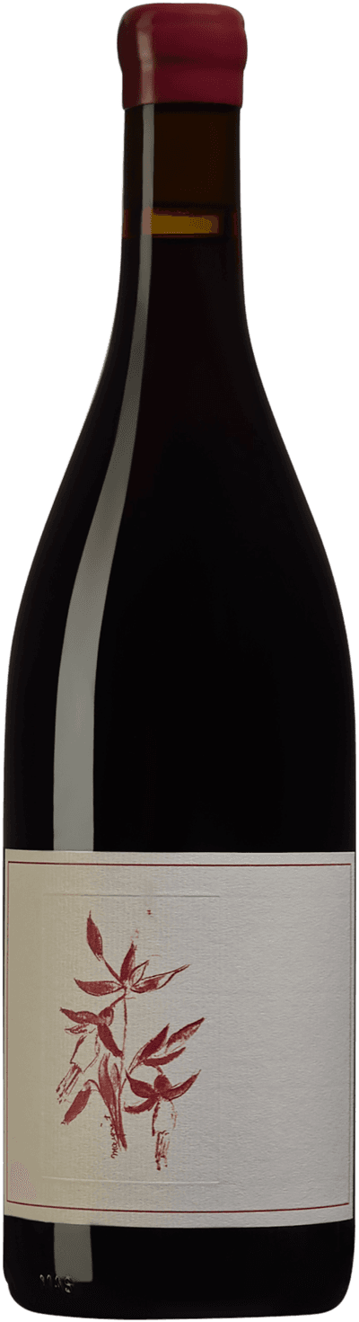 Arnot-Roberts Syrah