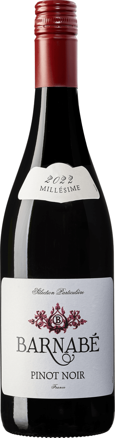 Barnabe Pinot noir