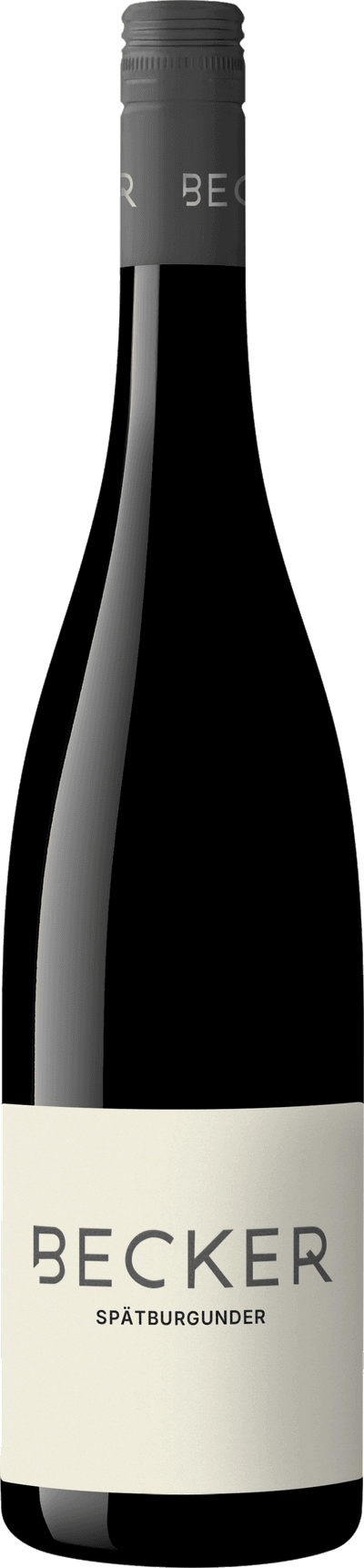 Spätburgunder Trocken