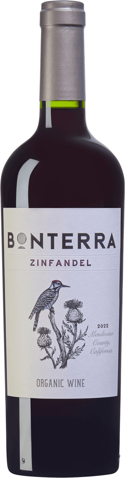 Zinfandel
