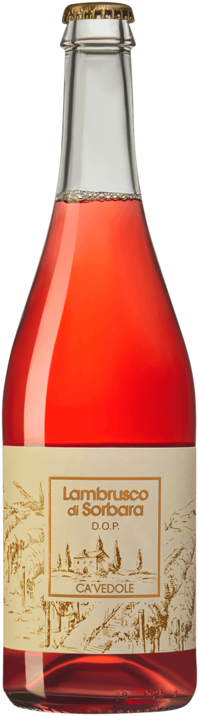 Ca' Vedole Lambrusco di Sorbara