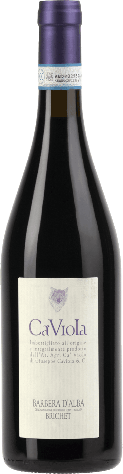 Barbera d'Alba Brichet