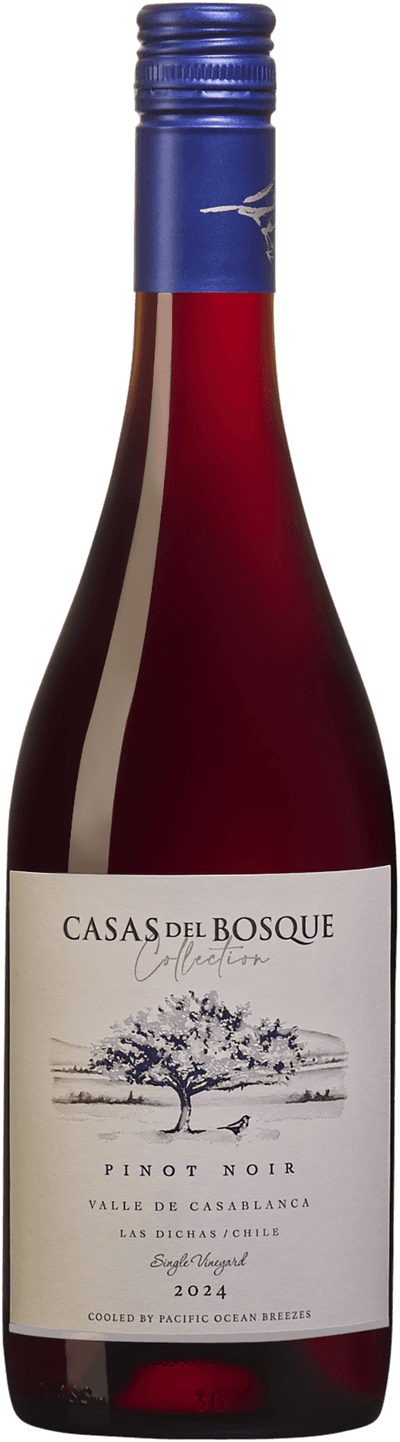 del Pinot Noir Collection
