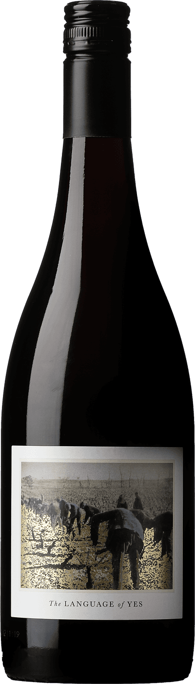 of Grenache