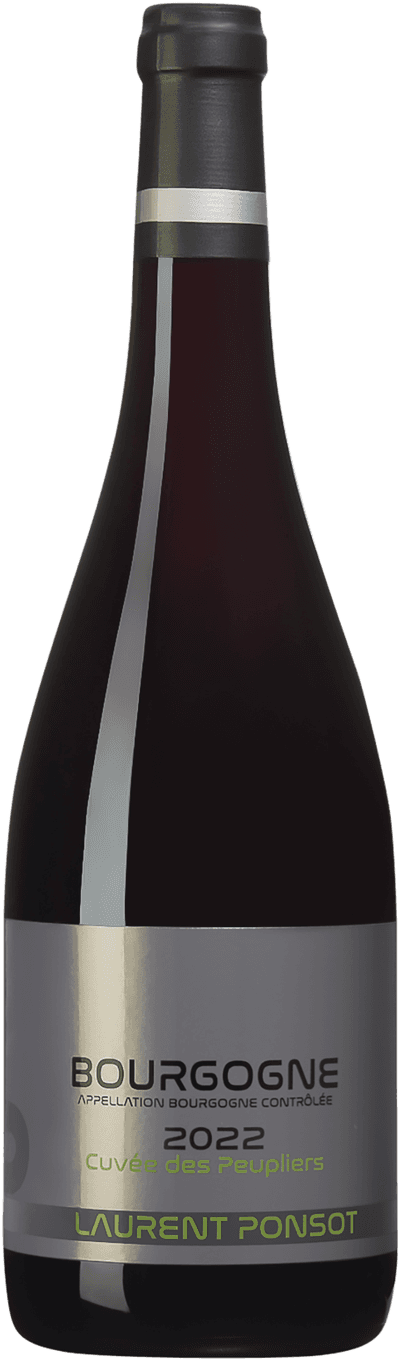 Bourgogne Rouge