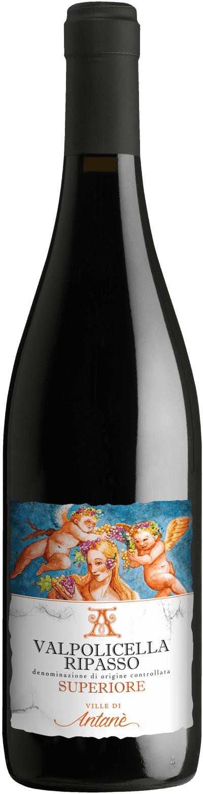 Le di Valpolicella Ripasso Superiore