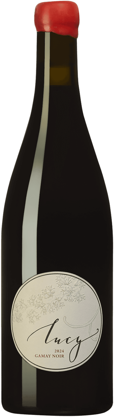 Gamay Noir