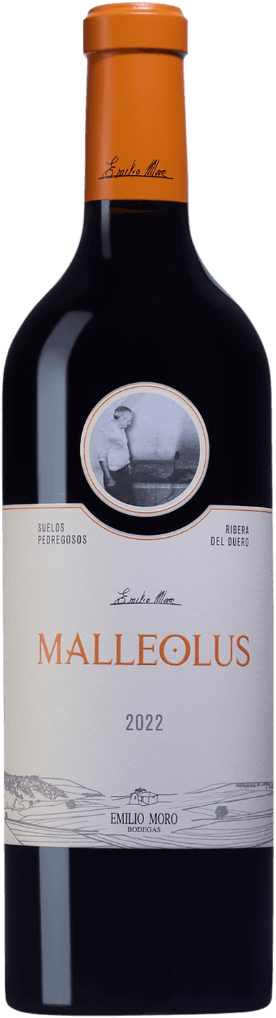 Malleolus
