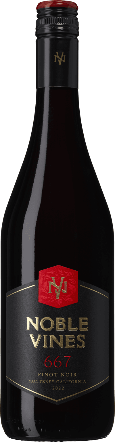 667 Pinot Noir
