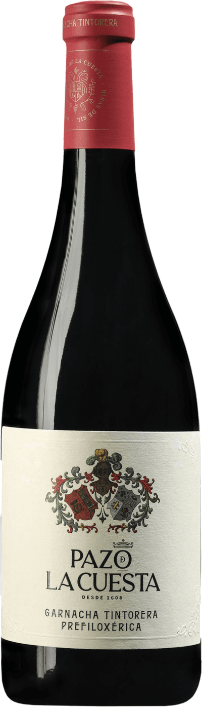 de La Garnacha Tintorera Prefiloxérica