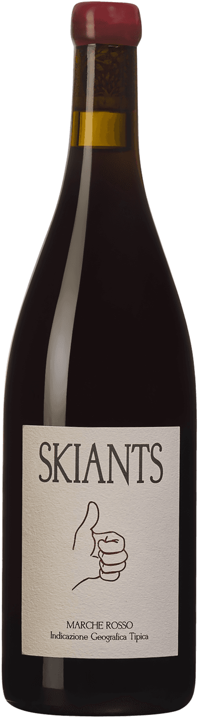 Skiants Marche Rosso