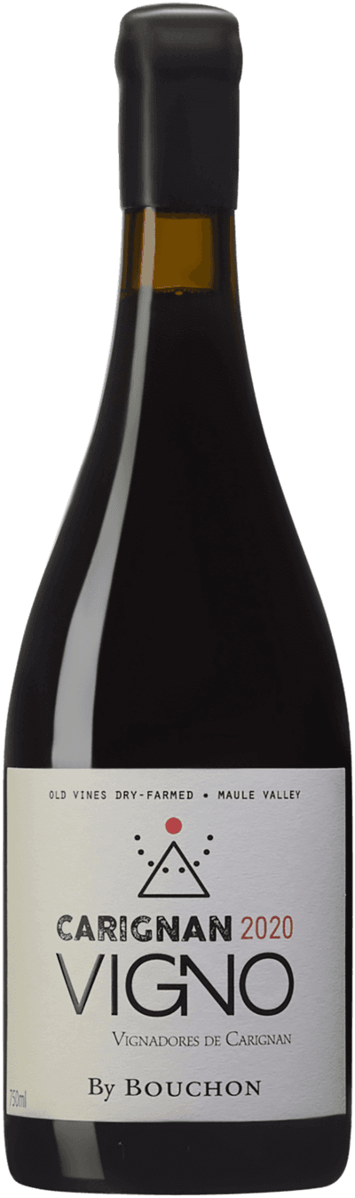 Vigno by Carignan