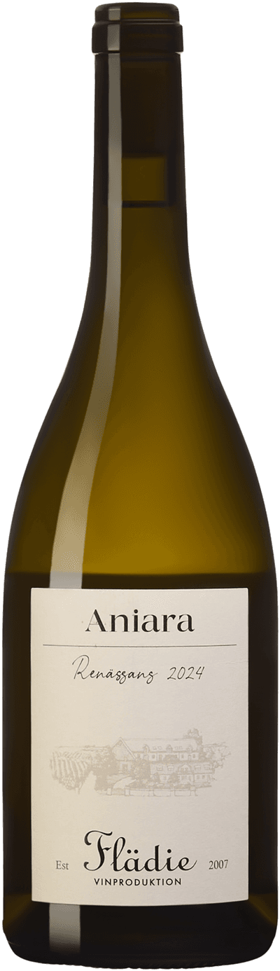 Aniara Renässans