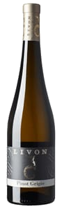 Collio Pinot Grigio