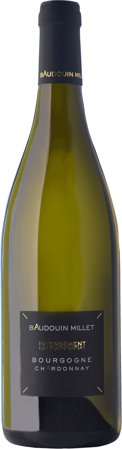 Bourgogne Chardonnay