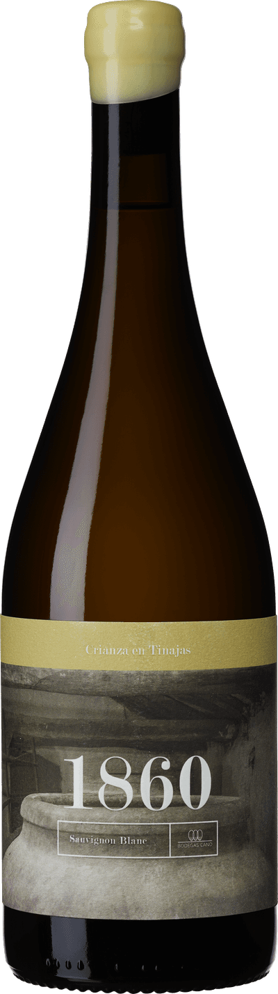 1860 Blanco en Tinajas