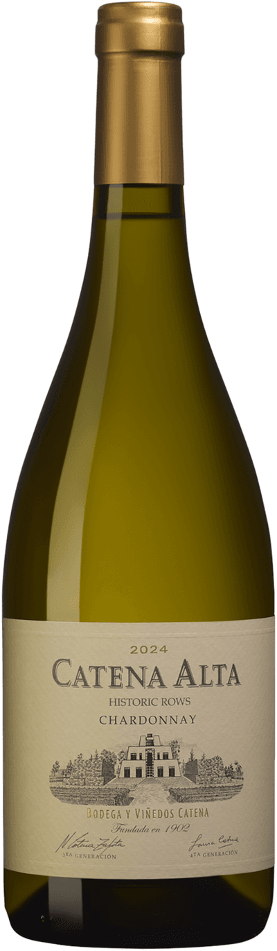 Alta Chardonnay