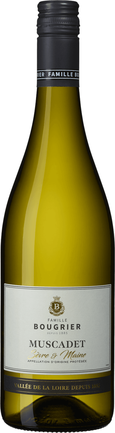 Collection Muscadet Sèvre & Maine