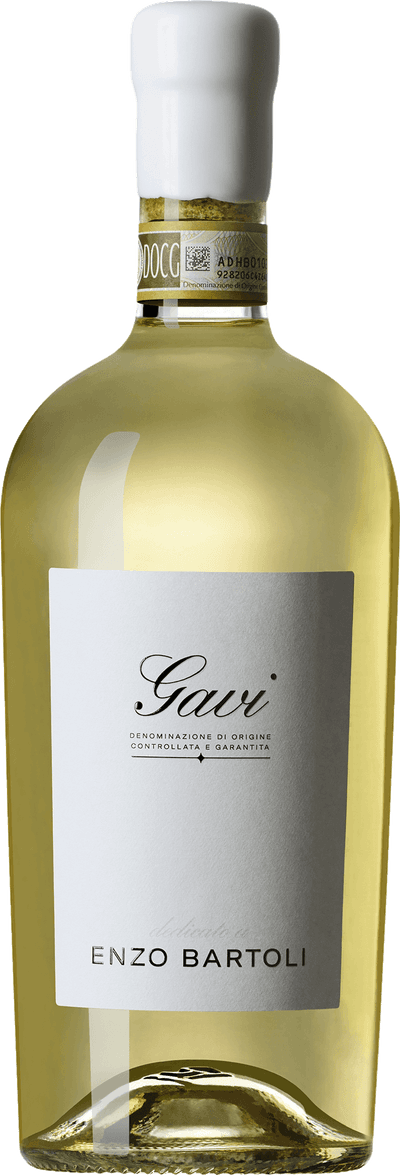 Enzo Bartoli Gavi