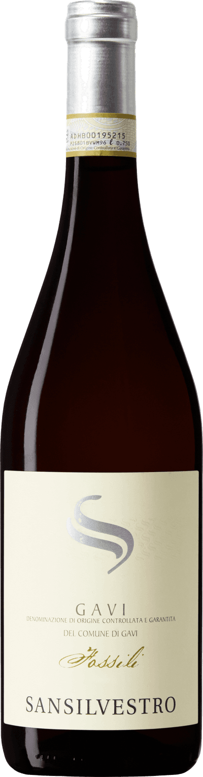 Gavi Del Comune di Gavi Fossili