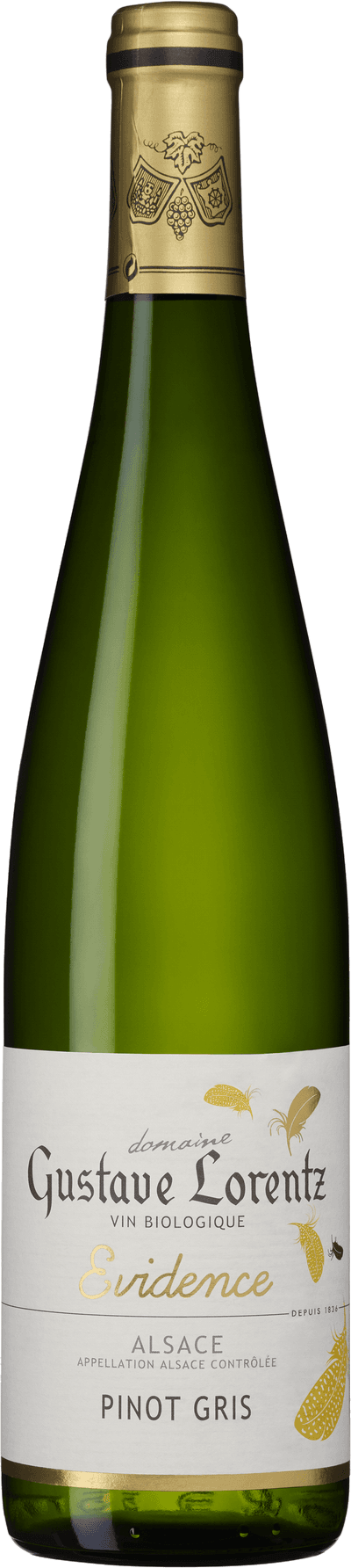 Evidence Pinot Gris