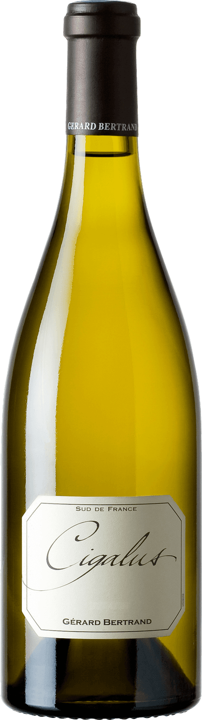 Cigalus Blanc