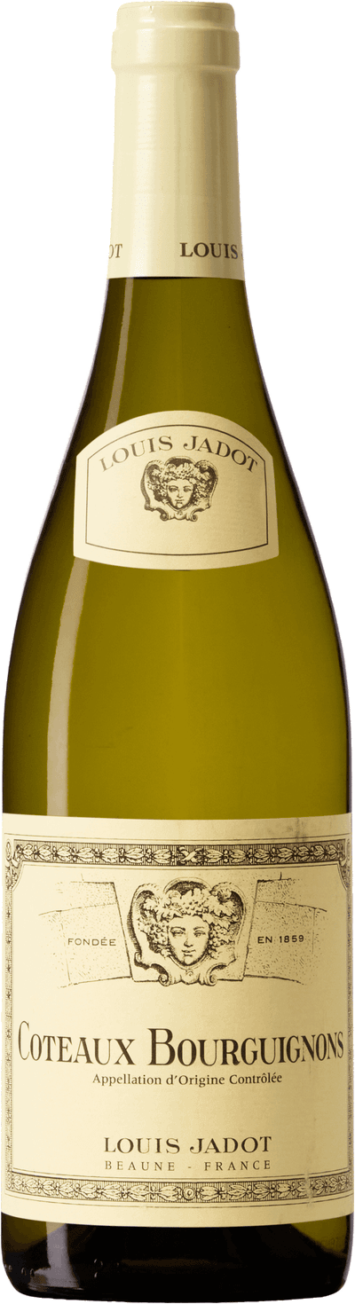 Coteaux Bourguignons Blanc