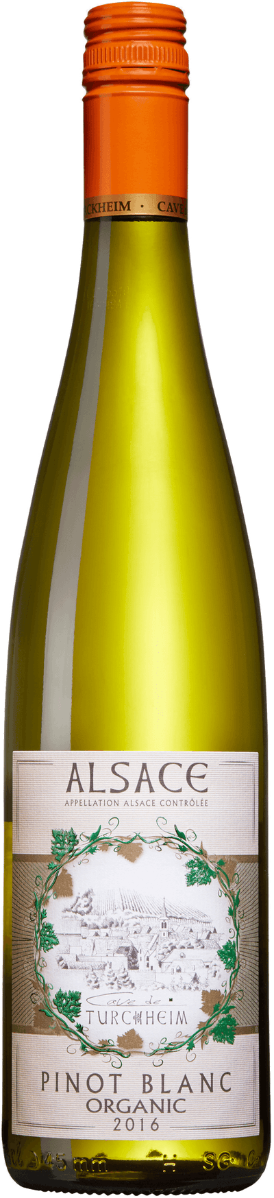 Pinot Blanc Organic