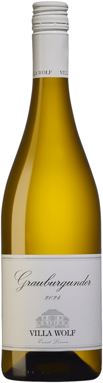 Grauburgunder