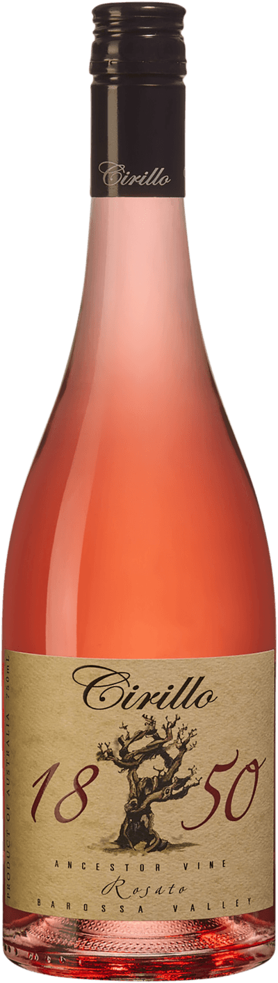 1850 Ancestor Vine Rosato