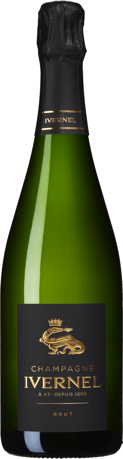 Ivernel Brut