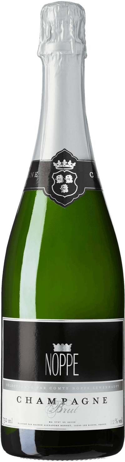 Noppe Brut