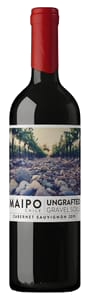 De Martino Ungrafted Cabernet Sauvignon