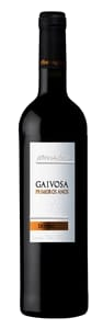 Alves de Sousa Gaivosa Primeiros Anos