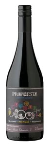Viña Echeverria Propuesta