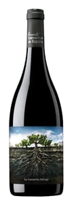 Proyecto Garnachas de España La Garnatxa Salvaje del Moncayo