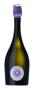 Marguet Sapience Premier Cru Vintage Brut Nature