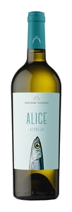 Alice Verdeca Salento