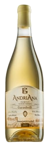 Gurashvili's AndriAna