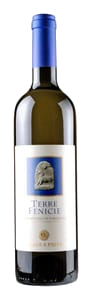 Sardus Pater Terre Finicie Vermentino