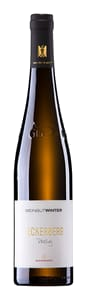 Winter Dittelsheimer Leckerberg Riesling Trocken