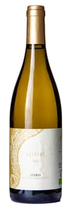 L'Austral Octopus Blanc