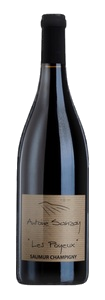 Sanzay Saumur-Champigny Poyeux